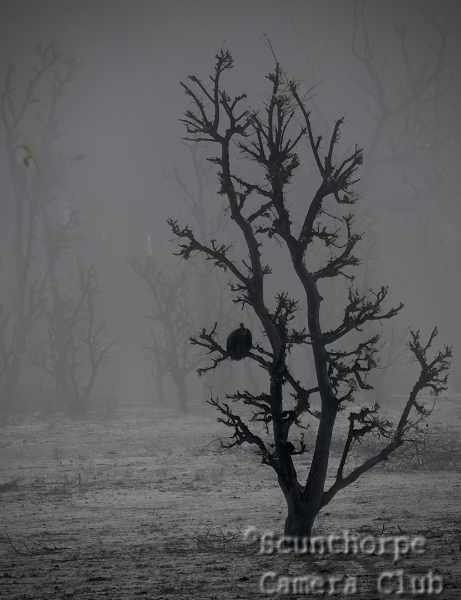 The hour before morning 